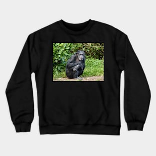 Contemplation Crewneck Sweatshirt